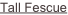 shapeimage_2_link_0