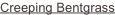 shapeimage_2_link_0