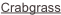 shapeimage_2_link_1