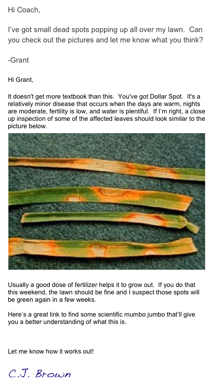 Hi Coach,

I’ve got small dead spots popping up all over my lawn.  Can you check out the pictures and let me know what you think?

-Grant

Hi Grant,

It doesn't get more textbook than this. You've got Dollar Spot. It's a relatively minor disease that occurs when the days are warm, nights are moderate, fertility is low, and water is plentiful.  If I’m right, a close up inspection of some of the affected leaves should look similar to the picture below.
￼
Usually a good dose of fertilizer helps it to grow out. If you do that this weekend, the lawn should be fine and I suspect those spots will be green again in a few weeks.

Here’s a great link to find some scientific mumbo jumbo that’ll give you a better understanding of what this is.

Purdue University Dollar Spot Pamphlet

Let me know how it works out!

C.J. Brown