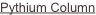 shapeimage_2_link_0