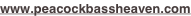 shapeimage_2_link_2